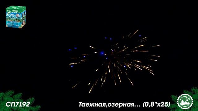 СП7192 смотреть онлайн