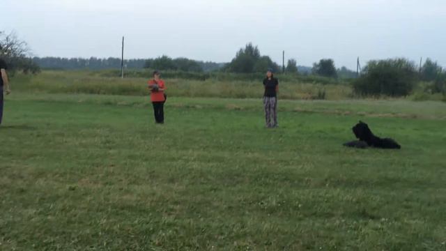 ОКД, РЧТ Черная Звезда с Вольной Артемида смотреть онлайн