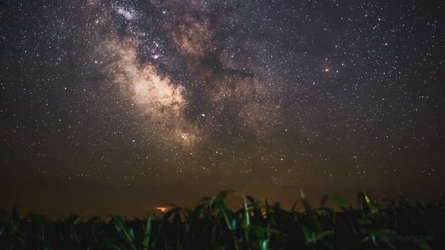 Поэтический вечер| ПРАВАРТ смотреть онлайн