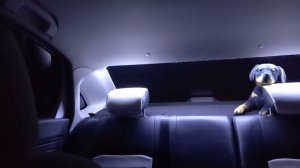 Установка подсветки заднего ряда Лада Веста