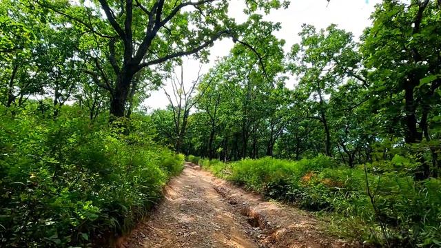 Приморье 2023. Бухта Льва. Дорога в самую труднодоступную бухту Приморья