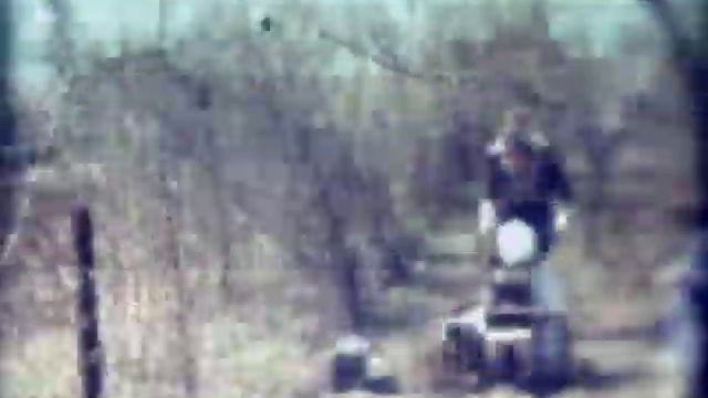 Огородники.mpg смотреть онлайн