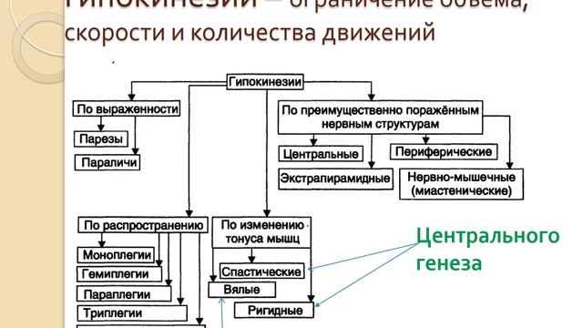 Патофизиология нервной системы