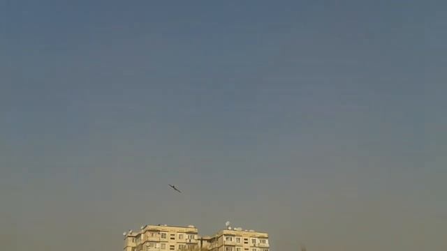 Кордовая модель Е.Петрова. Радуга-7