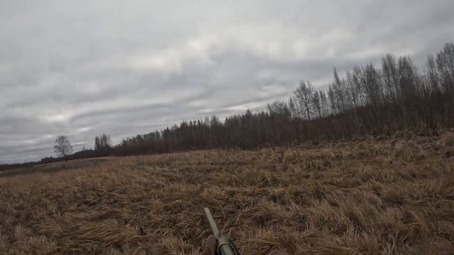 Охота на косулю сайга 12с смотреть онлайн