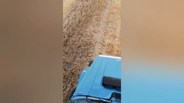 Комбайнеры. смотреть онлайн