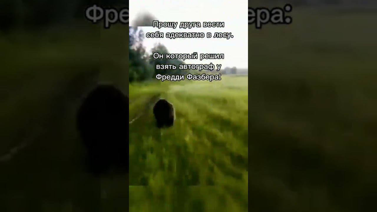 mem меме смотреть онлайн