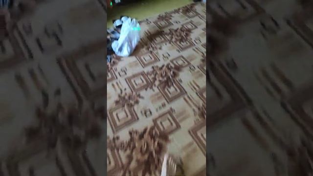Лазерный уровень Pracmanu смотреть онлайн