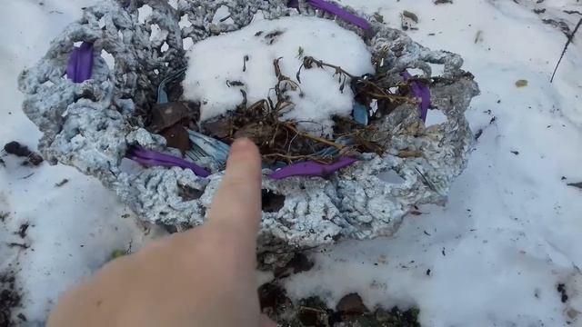Горшки зимой.Что с ними после дождей, мороза, снега и оттепели. смотреть онлайн