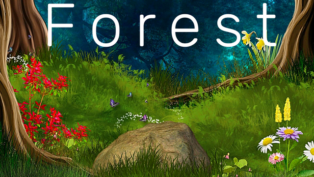 10.FOREST ? ЛЕС ? РЕЛАКС ? МУЗЫКА ДЛЯ ДУШИ и ТЕЛА! ? МЕДИТАЦИЯ ? БОЖЕСТВЕННАЯ МУЗЫКА АНГЕЛОВ! смотреть онлайн