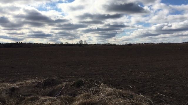 Охота на гуся в Беларуси 11-12.04.20. Гусь 2020. Goose hunting. смотреть онлайн