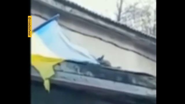 Zавербованная чекистами белка помогает ВС РФ денацифицировать Украину. смотреть онлайн