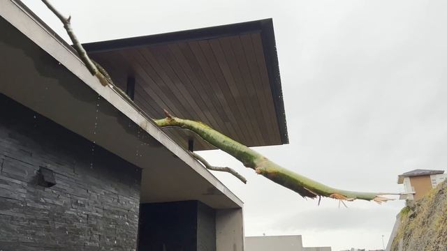 The day after #TyphoonOdette смотреть онлайн