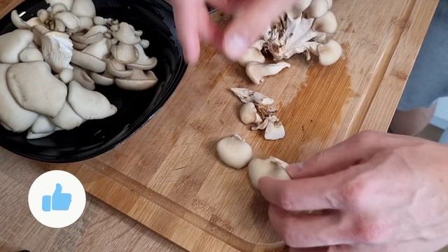 Фильмы о Природе и Экологии