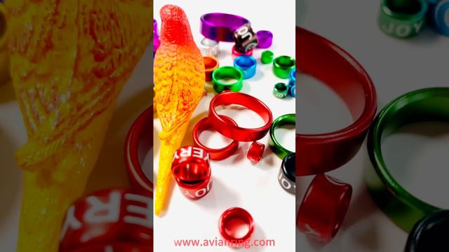Bird leg bands | Aluminum bird ring | Pigeon ring | bird bands | Poultry ring | смотреть онлайн