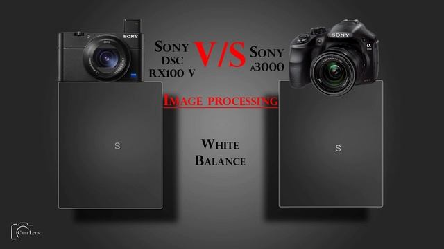Sony DSC RX100 V vs Sony α3000 смотреть онлайн