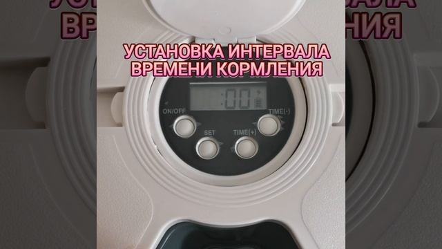Автокормушка для кошек и собак смотреть онлайн