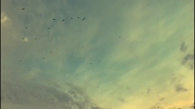 А какое Ваше любимое время года? смотреть онлайн