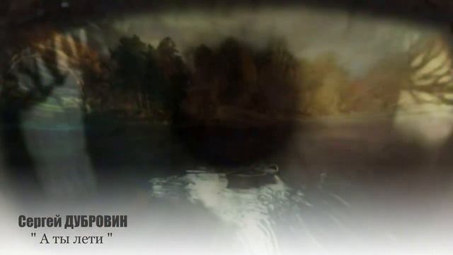 СЕРГЕЙ ДУБРОВИН - " А ты лети" NEW 2016! смотреть онлайн