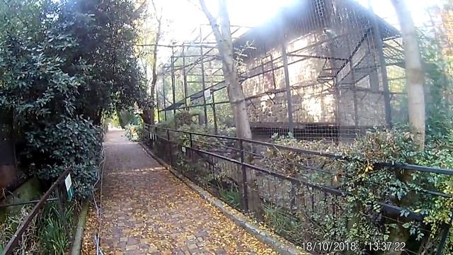 Ялта. Зоопарк 