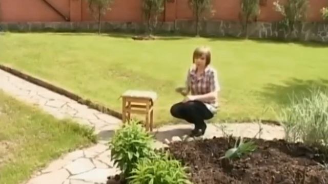 Полезные Советы Чтобы при работе на даче под ногти не забивалась грязь смотреть онлайн