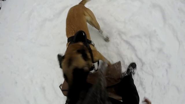 Малинуа УДЦ "Гелион". Работа по защите. смотреть онлайн