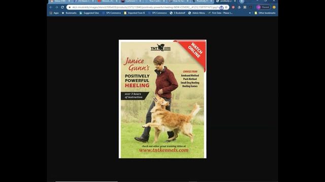 How To Save WebP Images As JPEG смотреть онлайн