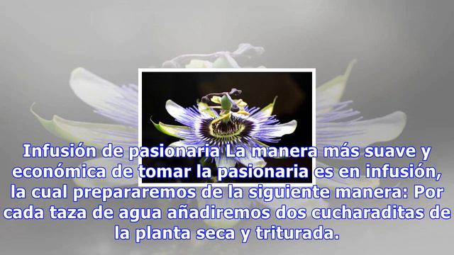 Pasionaria contra el insomnio y el nerviosismo смотреть онлайн