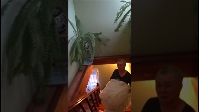 ?Куда деть старые шторы? смотреть онлайн