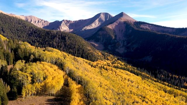 НАЦИОНАЛЬНЫЙ ЛЕС МАНТИ-ЛА САЛ смотреть онлайн
