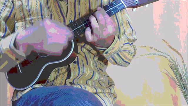 悲しきマリー／ﾐｯｼｪﾙ･ﾎﾟﾙﾅﾚﾌ／Michel Polnareff(solo ukulele) смотреть онлайн