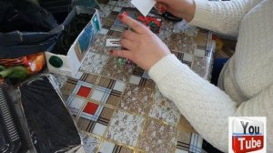 Сезон 2022 :Сеем Вербену, Бальзамин. Пикировка овсяницы Сизой?