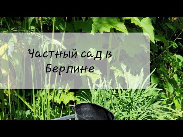 Посещаю частный сад в Берлине. День открытых дверей. Июль 2022. Сад заложен ландшафтным архитектором