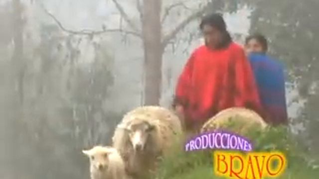 JORGE BRAVO - PIDO LA MANO смотреть онлайн