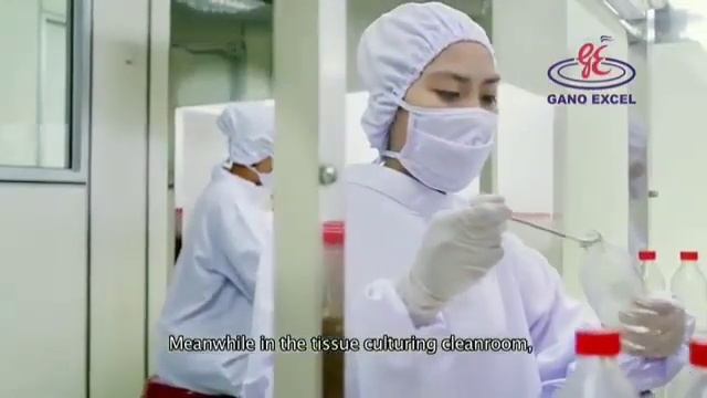 Malayziyaning Gano Excel Korporatsiyasi mahsulot ishlab chiqarish jarayoni смотреть онлайн