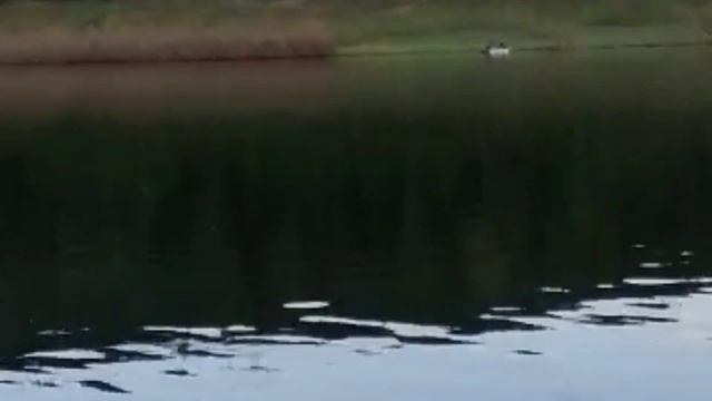 сплав по Северной реке нюя часть вторая не вошедшие Саха Якутия смотреть онлайн