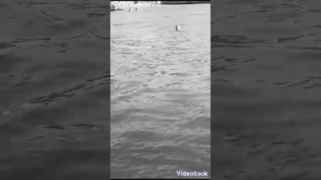 чёрное море 2023 Кабардинка смотреть онлайн