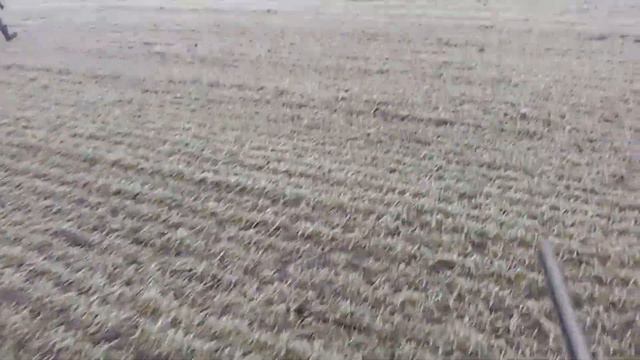 Охота это не место для разговоров. смотреть онлайн