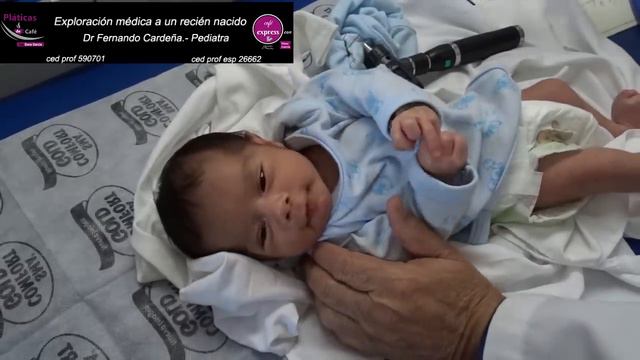 Exploración Médica A Un Recién Nacido , Todo Lo Que Tienes Que Saber Sobre Tu Bebe Recién Nacido .