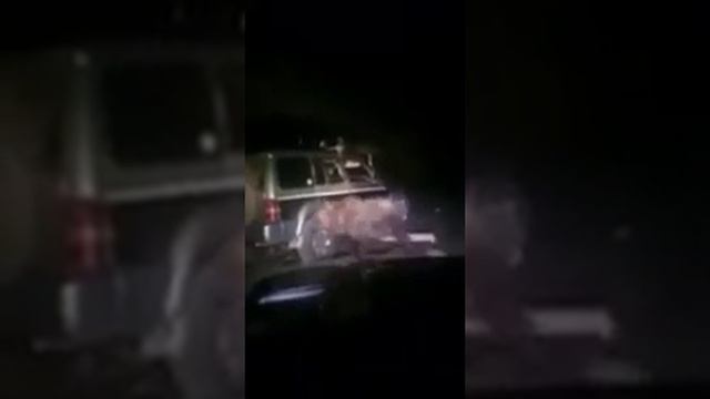? медведь все смотреть напал на машину смотреть онлайн