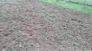 Фреза к мотоблоку . Разработка целины.