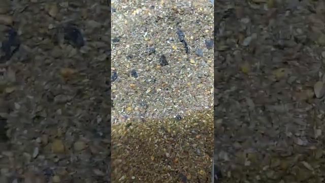 Тагы да фуза смотреть онлайн