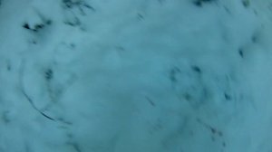 САМОДЕЛЬНАЯ ВАБА НА ВОЛКА С ОХОТОЙ. 180