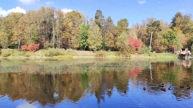 Делюсь красивой красотой ???? , сентябрьский приветик ❤️ смотреть онлайн