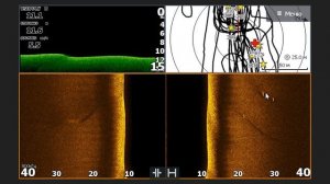 Как выглядит рыба в эхолоте. Часть 3. Скрины Lowrance Ti2 9". Щука, судак, сазан.