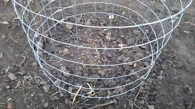 Нужны ли нам цыплята? смотреть онлайн