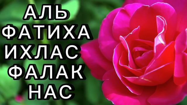 Суры Аль Фатиха,Ихлас,фалак,нас смотреть онлайн