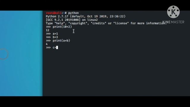 HOW TO RUN PYTHON ON KALI LINUX.....100% Workable //SNAPDRAGAMER YT// смотреть онлайн