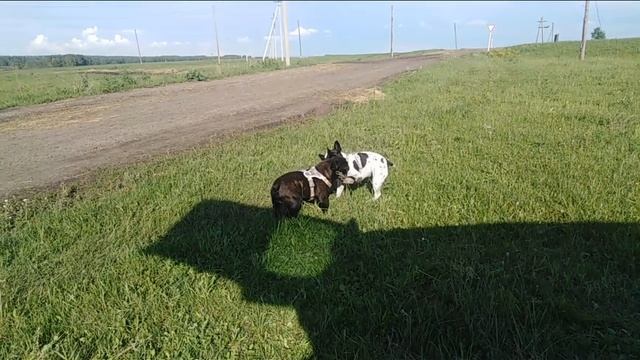 СКАЗКА МАМА. СТИХИ ДЛЯ МАЛЫШЕЙ. ПОТЕШКИ. Короткие стишки для самых маленьких. смотреть онлайн