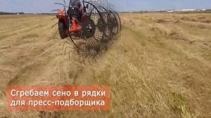 Заготовка сена на минитракторе Уралец.mp4